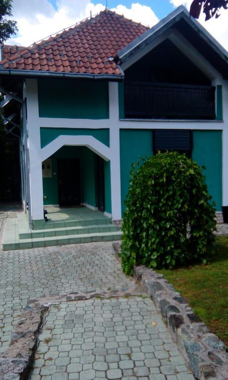 Planinska Kuca Villa Mokra Gora Exterior photo
